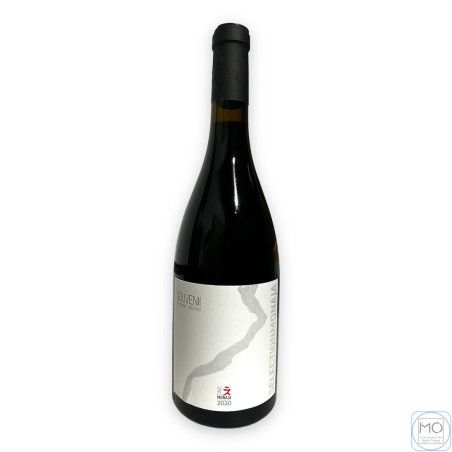 Souvenii Vallée d‘Aoste...