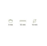 Penne Lisce Organic