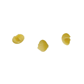 Organic Conchigliette