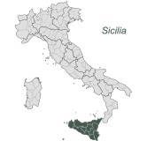 Primosale peperoncino
