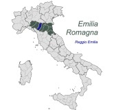 Parmigiano Reggiano DOP 24 Monate