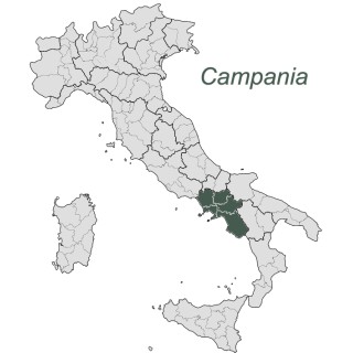 Mozzarella di Bufala Campana DOP 125gr
