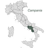 Mozzarella di Bufala Campana DOP 125gr
