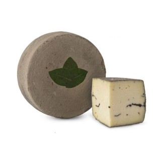 Sottocenere Truffé
