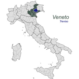 Sottocenere