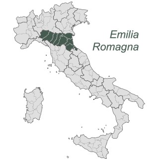 Ricotta