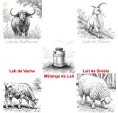 Narangi® - Canestrato all'arancia