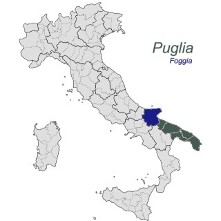 Vibrans Nero di Troia Puglia IGT Bio