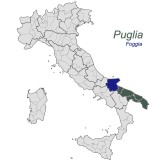 Vibrans Nero di Troia Puglia IGT Bio