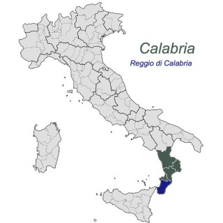 Fichi di Cosenza D.O.P
