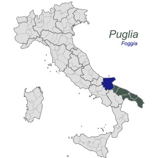 Primitivo Puglia IGT Bio