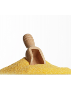 Polenta