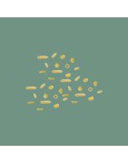 Pasta mini