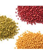 Legumes