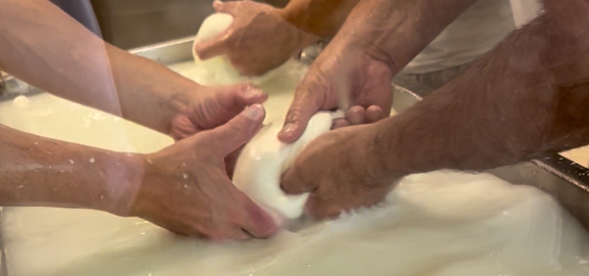 Comment est fabriquée la mozzarelle artisanale ?