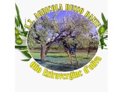 Agricola Russo Dante