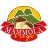 Mammola Funghi di Bruno Romeo