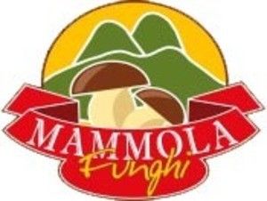 Mammola Funghi di Bruno Romeo